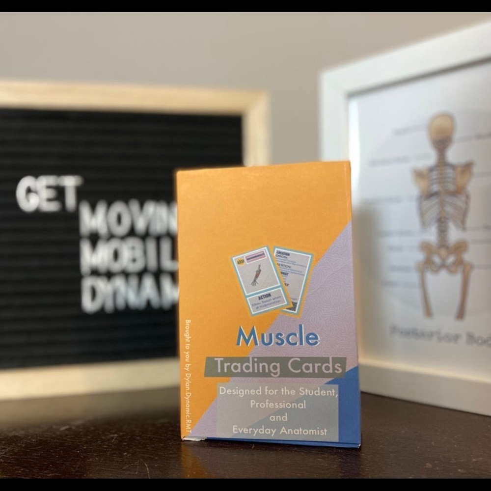 Muscle flash cards